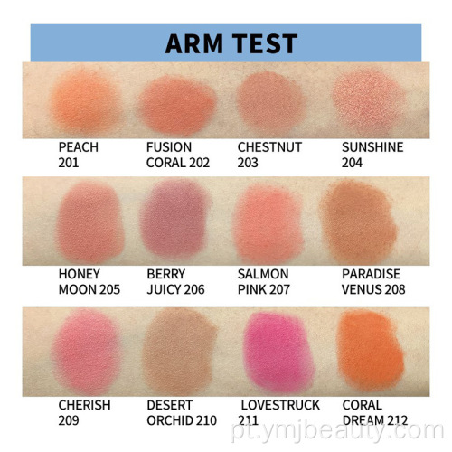 Maquiagem de alta qualidade Paleta de blush de marca própria